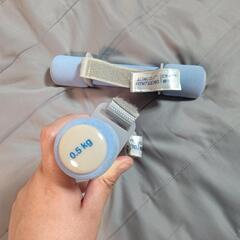 ダンベル 0.5kg 2本セット