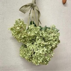 アナベル紫陽花pjwの画像