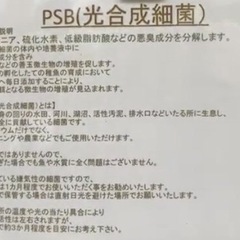 ☆PSB(光合成細菌) 900ml×2本☆メダカ飼育に☆の画像