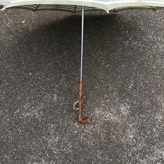 日傘の画像