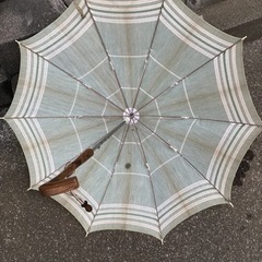 日傘の画像