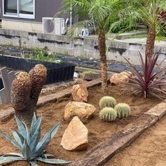 一緒にかっこいいお庭を作りましょう(๑•̀ㅂ•́)و✧