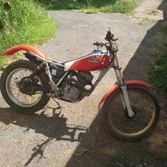 TL１２５   ４stの画像