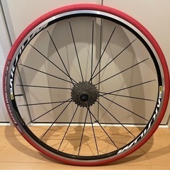 アクシウム　エリート　ローラー専用タイヤ付き　リアのみ