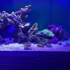水槽を止める為