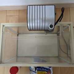 水槽_30cm_ポンプ_フィルターの画像