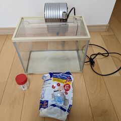 水槽_30cm_ポンプ_フィルターの画像
