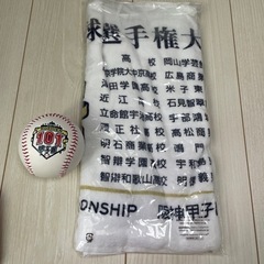 甲子園タオルの画像