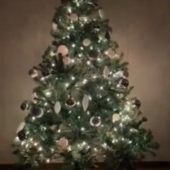 クリスマスツリー🎄&デコレーション💚❤️