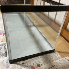 1200水槽　　　　の画像