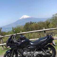 ホンダ ゼルビス 250 車体 自走可