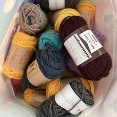 毛糸🧶
