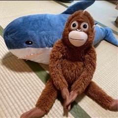 IKEAで人気　子どもも大人も大好き　大きなぬいぐるみ　サメ　サ...
