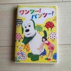 お取引中　DVDワンツーパンツー！