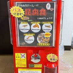 今流行りの食用昆虫！昆虫ガチャガチャを設置出来る場所を募集してま...