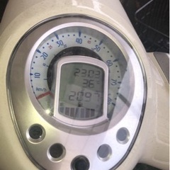 原付　プジョー　ジャンゴ　50cc 外車の画像
