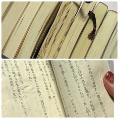 【藤原緋紗子】小説文庫本まとめ13冊の画像