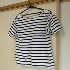 レディース　スタジオクリップ　Tシャツ 半袖 サイズMの画像