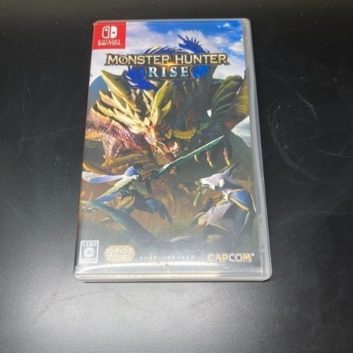 Switch ゲームカセット