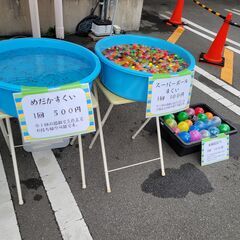 メダカ販売のお知らせ - 展示会