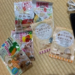 小動物(ハムスター・うさぎ・モルモット)setの画像