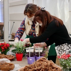 蓼科高原バラクライングリッシュガーデン　イベント出店者募集
