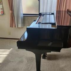 【ピアノ個人レッスン】長久手、日進市エリアの画像