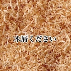 木屑ください