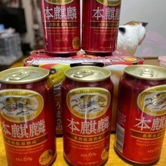 受付終了。本麒麟11缶・訳あり【350ml】