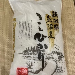 お米　こしひかり　5キロ②