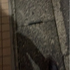 今から松戸で遊ぼ