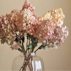紫陽花　ドライフラワー　ピンク