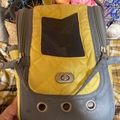 ペット用キャリーバックの画像