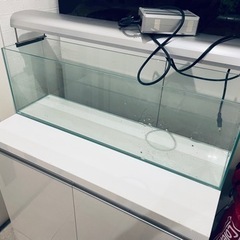交渉中【あんしん決済】90cm水槽＋台＋蛍光灯　豪華セット　引取限定