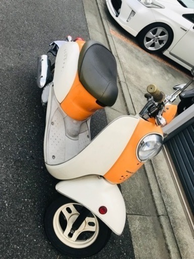 HONDA スクーピー