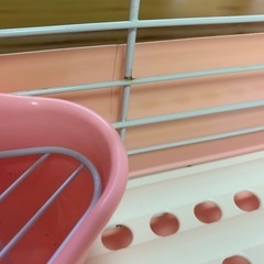 うさぎケージ他の画像