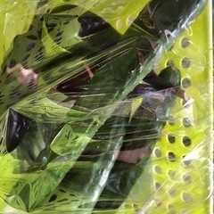 野菜つめあわせ