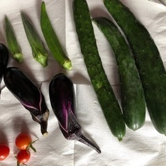 野菜つめあわせの画像