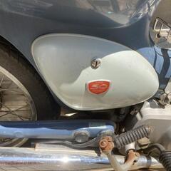 決まりました。リトルカブ50周年モデルです。