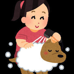 🐕トリマーさん急募🐕