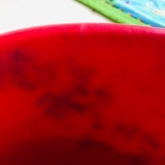 訳ありバンボ①の画像