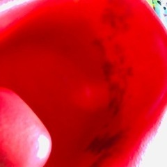 訳ありバンボ①の画像