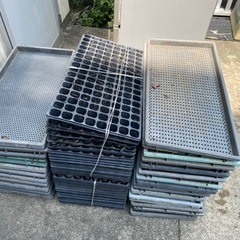 【決定】育苗箱　無料お渡し！　全て貰ってくれる方！