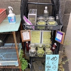 8月25日 めだか無人販売