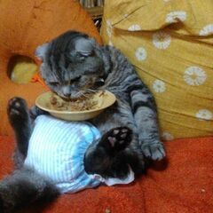 鬱病の女性の友達が欲しいです