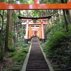 【超ゆる募】たまに集まって稲荷山登りましょう！