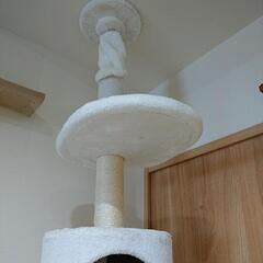 天井つっぱり型キャットタワー　mauの画像