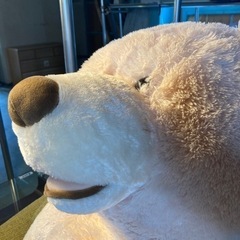 ● 大きなクマのぬいぐるみ、コストコの画像