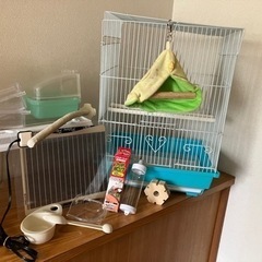 鳥かご ピタリ適温 ヒナから飼えるセット