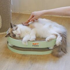 猫　爪とぎ　無限大ボウル　おもちゃ付き